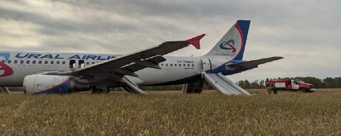 Названа причина аварийной посадки авиалайнера Сочи – Омск