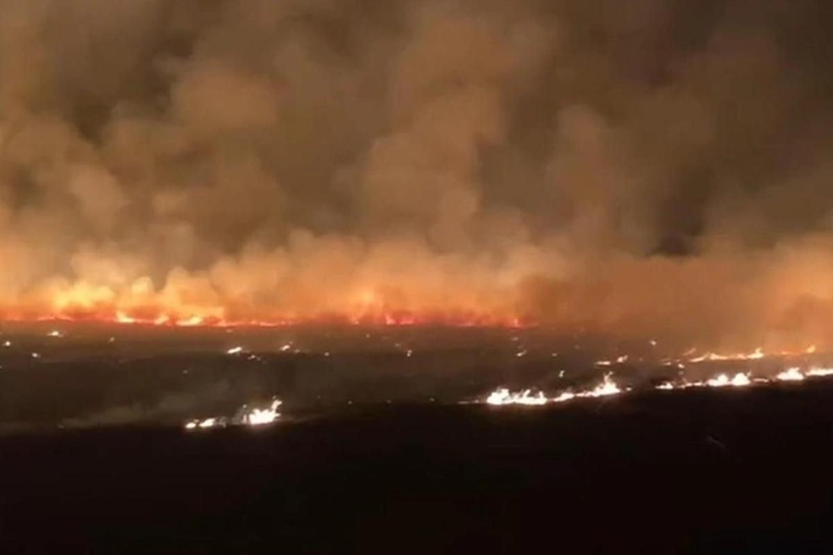 В Архангельской области пожар загорается на сухой траве — что делать, чтобы снизить опасность