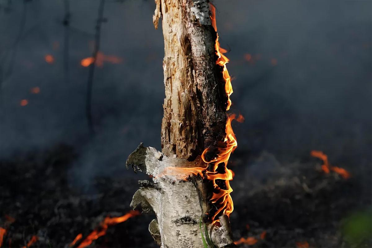 В Биробиджане ввели особый противопожарный режим
