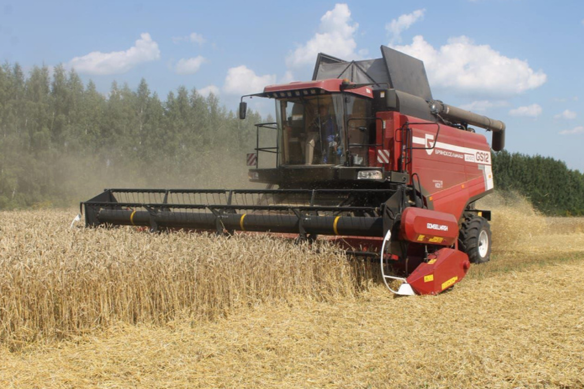 В Мордовии Россельхозбанк выделил аграриям 97% средств по льготной ставке