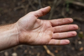 «Руки выдают»: оператор дрона раскрыл методы идентификации солдат ВСУ среди гражданских