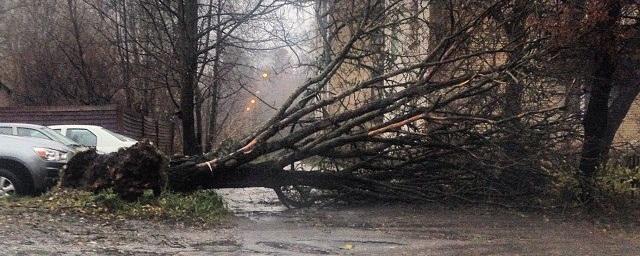 В Ставрополе последствия урагана ликвидируют более 500 человек