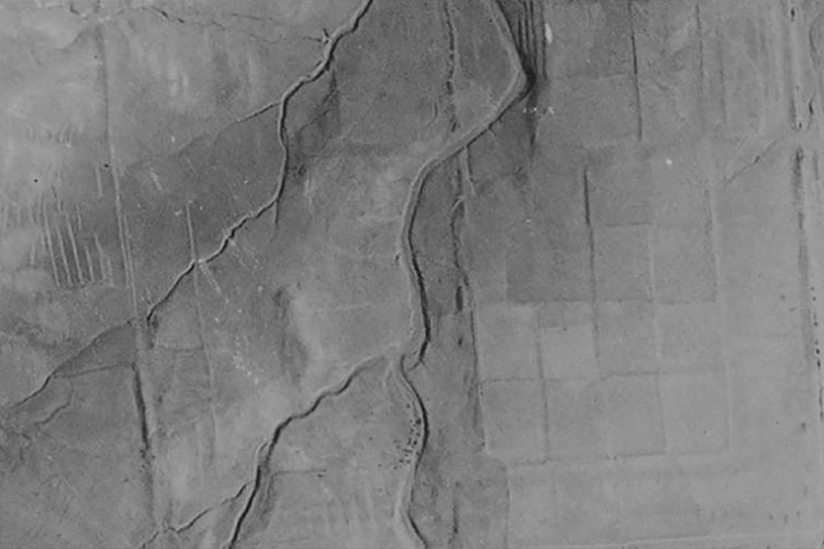 Ученые увидели на аэрофотоснимке остатки старинного персидского сада