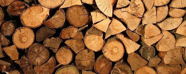 Финская деревообрабатывающая компания UPM приостановила работу фанерного завода в Чудово