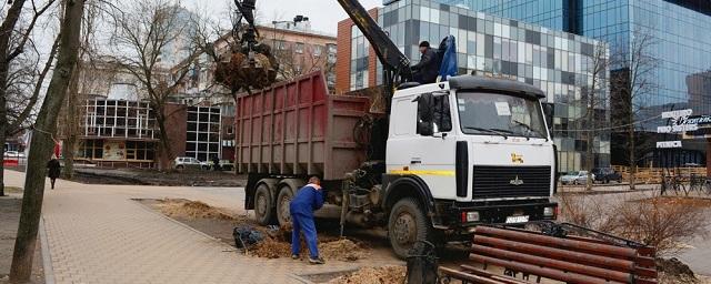 В Воронеже срубили все пылящие тополя возле Дома офицеров