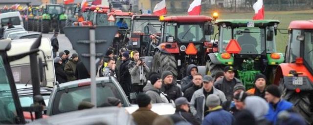 В Польше бастуют фермеры из-за притока зерна с Украины на рынок страны