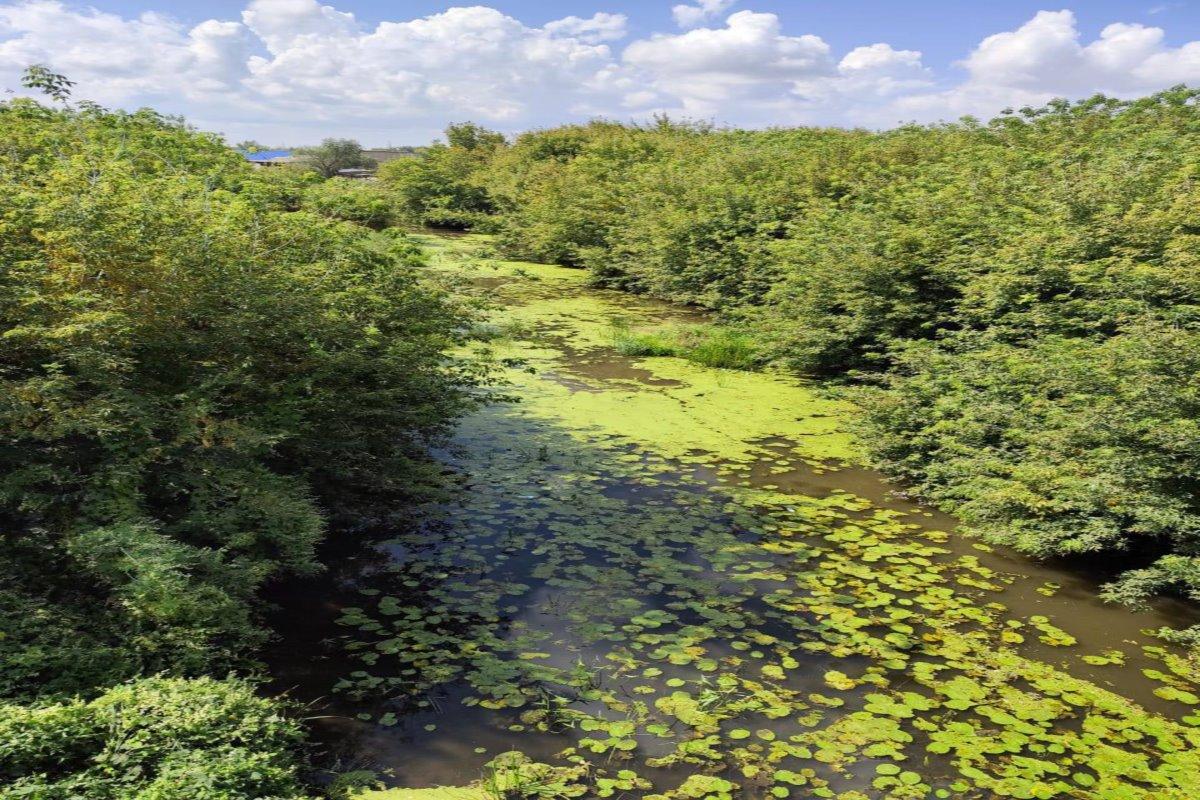 В селе Тоцком Оренбургской области расчистят русло реки Сороки для защиты от паводков