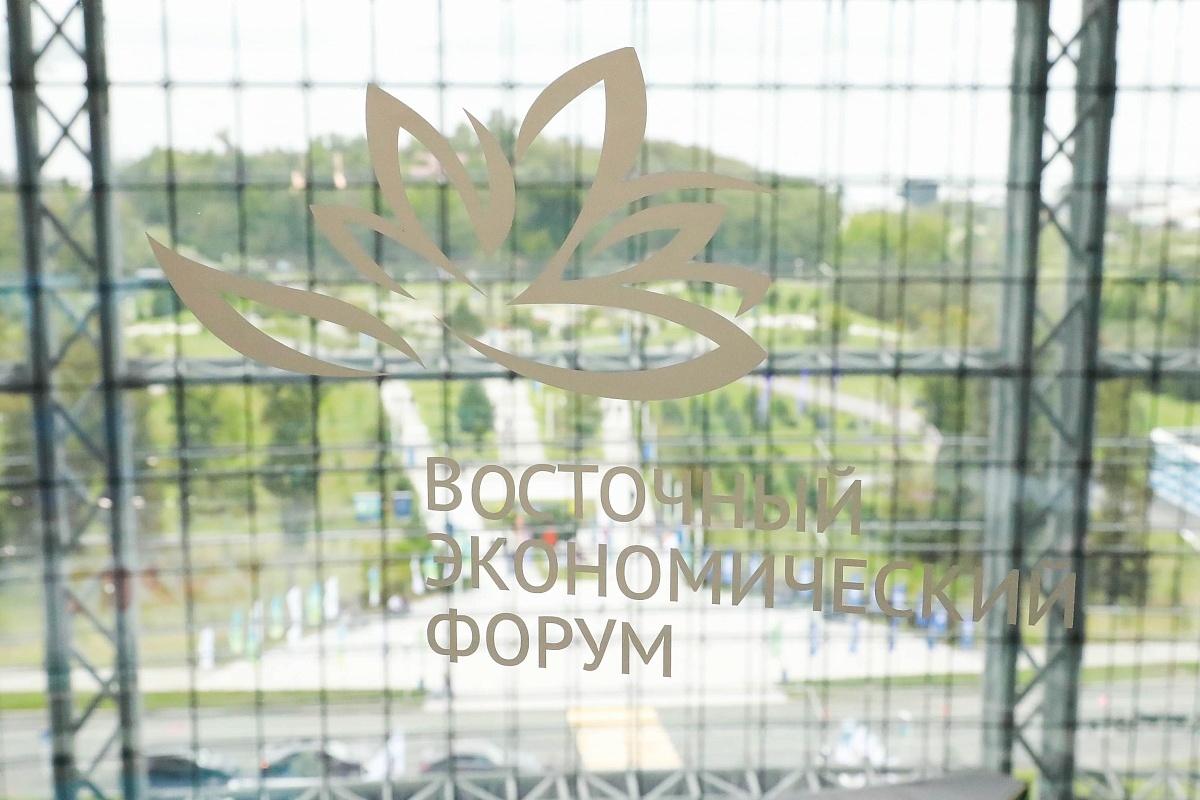 На ВЭФ-2026 инвесторам представят более 100 проектов Дальнего Востока и Арктики