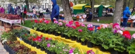 В Тамбове открылся фестиваль цветов