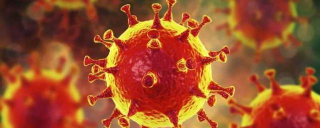 В Якутии за сутки подтверждено 87 новых случаев коронавируса