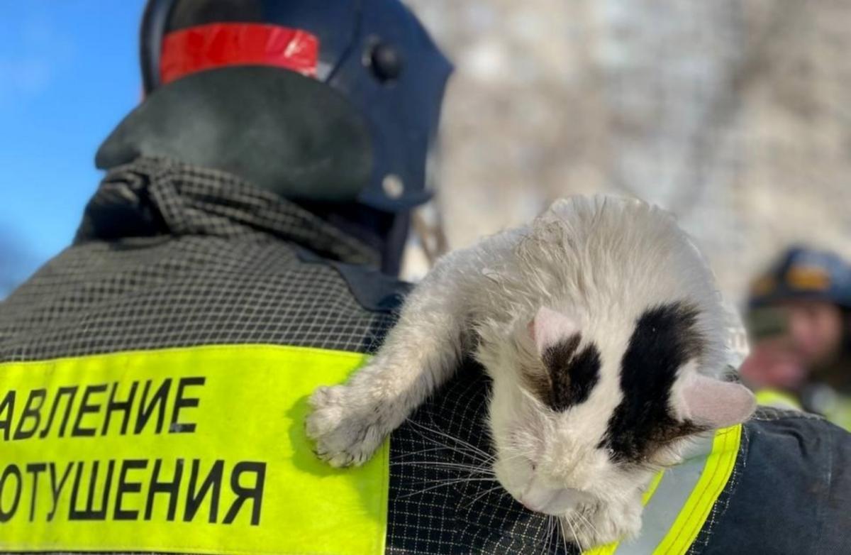 Уфимские пожарные спасли из горящего здания 62 человека