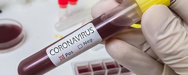 Ученые предложили специально заражать людей коронавирусом для облегчения борьбы с болезнью