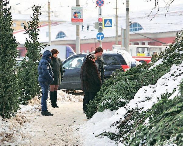 Полиция Челябинска начала проверку елочных базаров