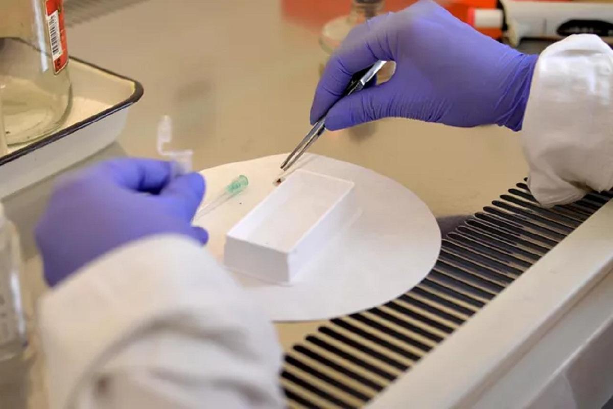 Российскими учеными обнаружен новый генотип возбудителя клещевого энцефалита