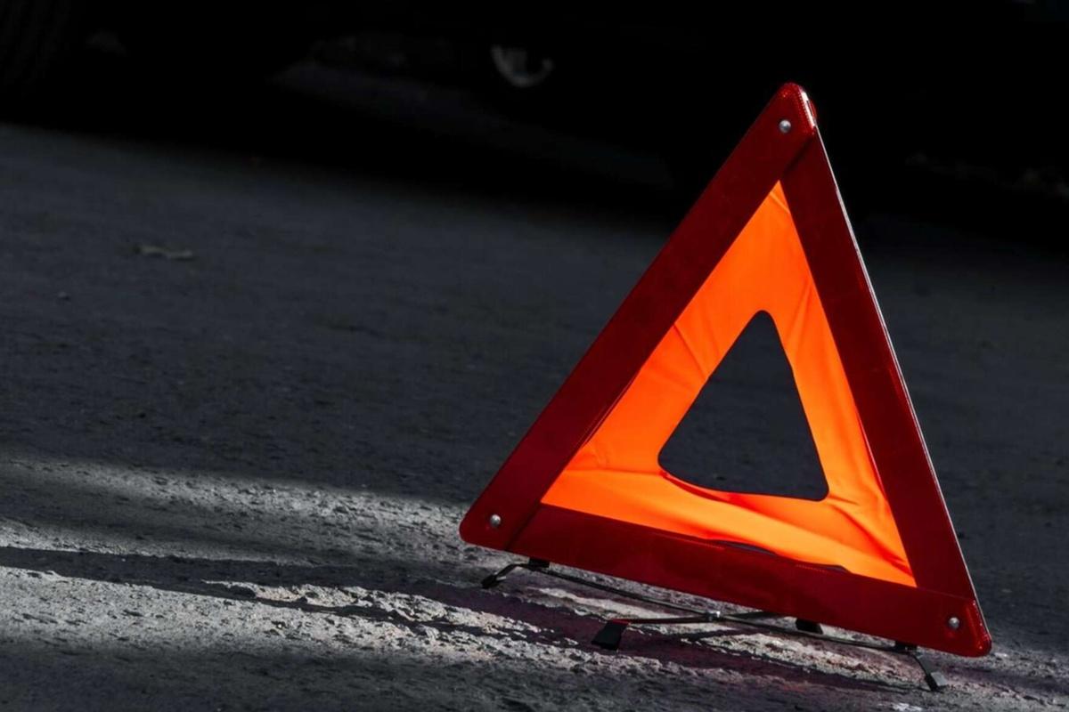 На трассе в Карелии автомобилист насмерть сбил лося