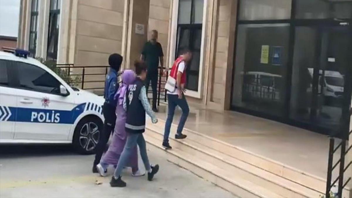 Спецслужбы Турции задержали жену убийцы российского посла Карлова
