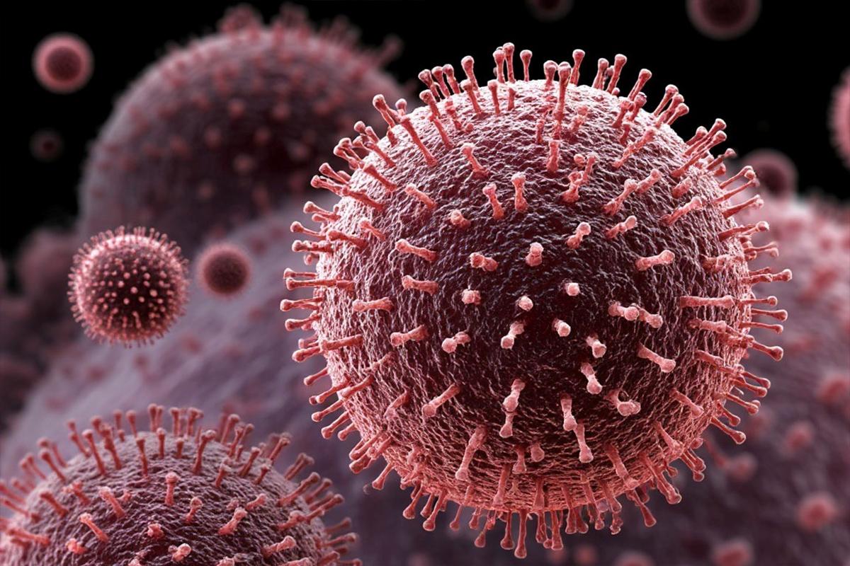 Роспотребнадзор исключил угрозу парапоксвируса после вспышки в Швеции