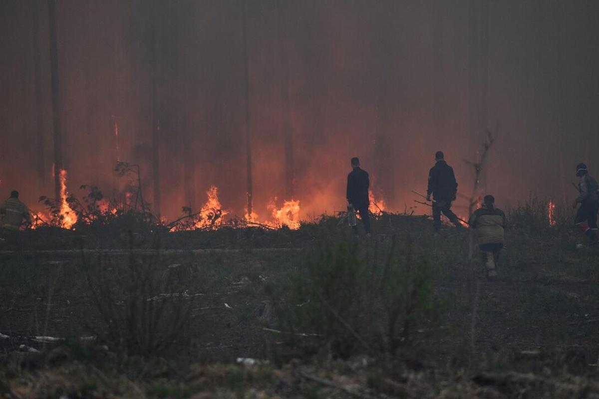 В Мурманской области собрали 550 тысяч рублей штрафов за нарушение противопожарного режима