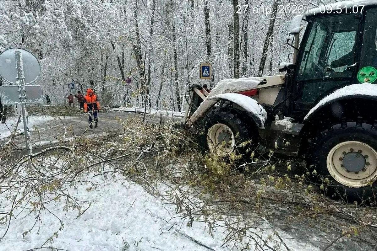 В Котельниках коммунальщики в усиленном режиме устраняют последствия снегопада и сильного ветра