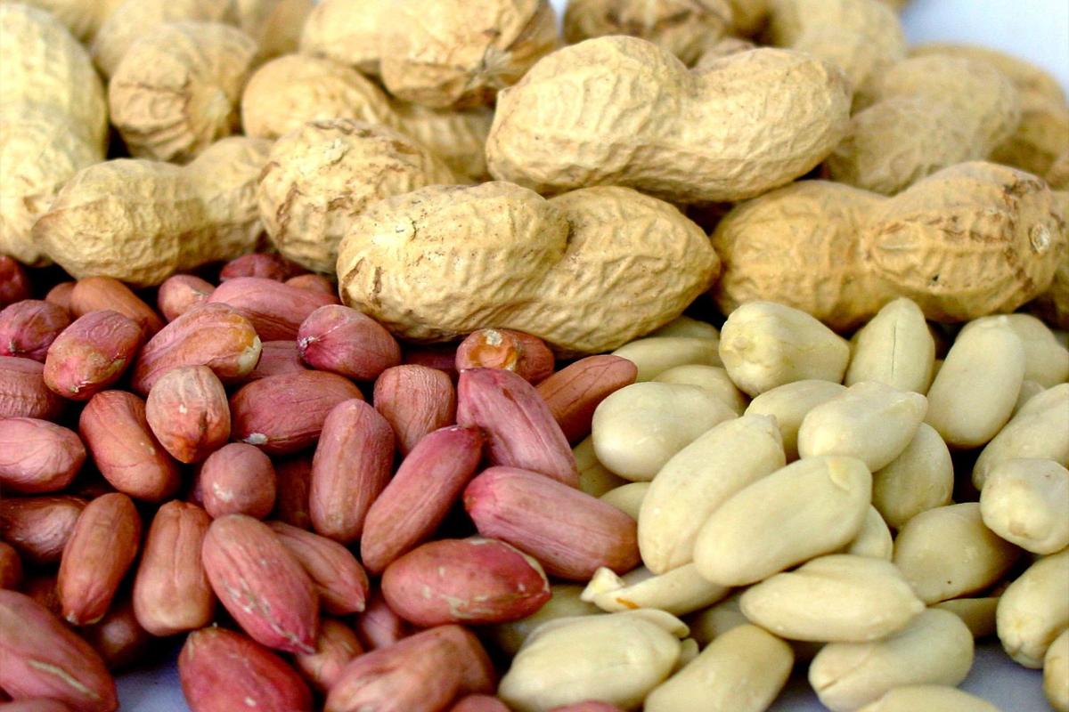 Диетолог Тейлор: Ежедневная горсть арахиса позволит эффективно снизить уровень «плохого» холестерина