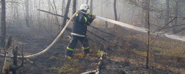 Видео: В Магаданской области ввели режим ЧС из-за лесных пожаров