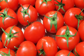 В Омске утилизируют 17 тонн зараженных томатов из Узбекистана