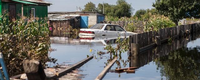 Власти Приамурья озвучили убытки в аграрном секторе из-за паводков