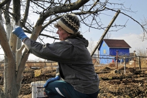 Эколог Кобяков: Краснокнижные растения можно вырубать только по соглашению с властями