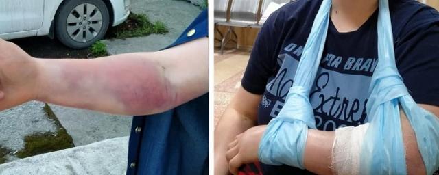 Жительница Екатеринбурга попала в реанимацию после укуса гадюки в парке