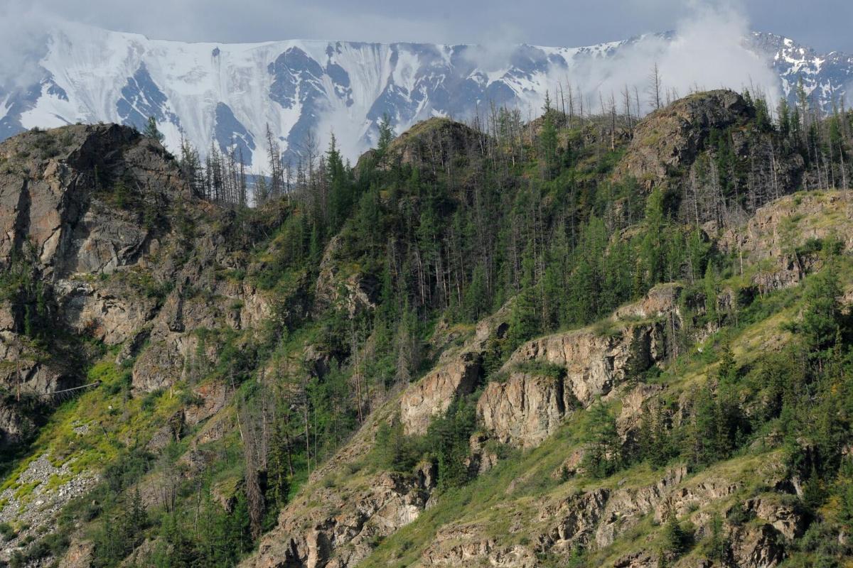 Иностранцы открывают Россию: популярность набирают Алтай, Камчатка и Кавказ