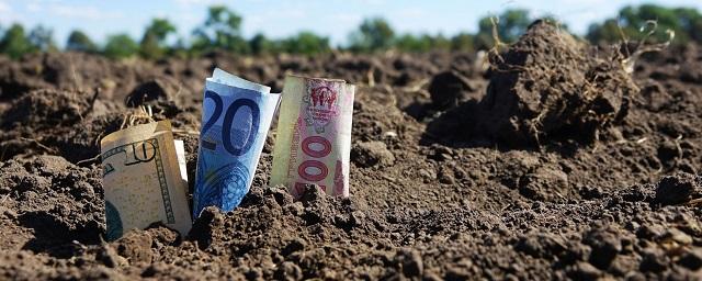 Партия Зеленского проголосовала за отмену моратория на продажу земли
