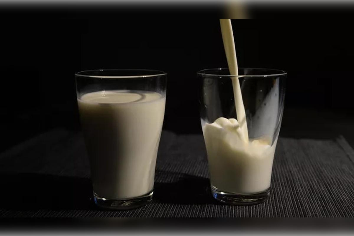 Российские сельхозпроизводители увеличили производство молока почти на 3%