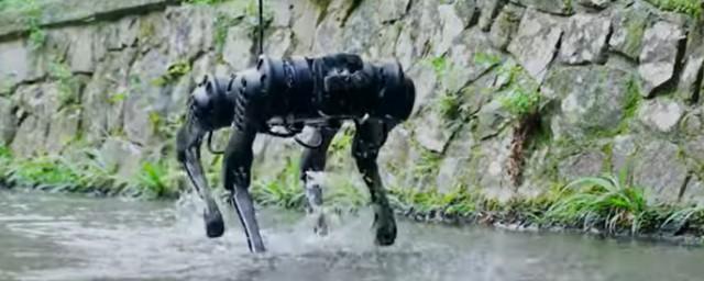 Китайский четвероногий робот B1 походил под водой и покатал человека весом 103,4 килограмма