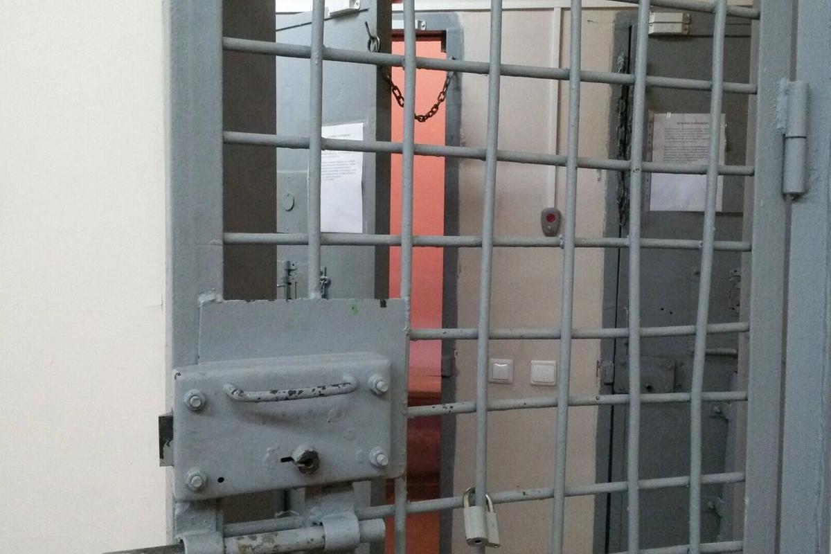 Мигранта, готовившего теракт в Удмуртии отправили под стражу