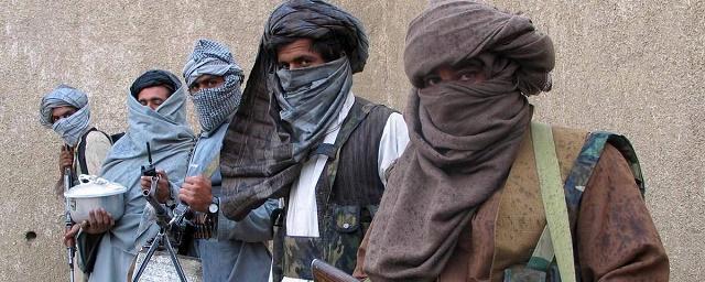 Новым лидером «Талибана» избран Мулави Хайбатулла Ахунзада