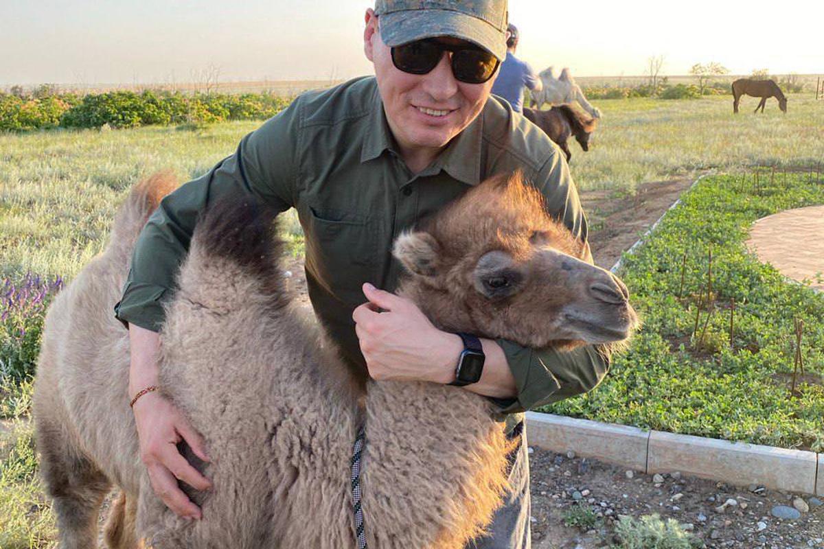 В Калмыкии отчитались о бэби-буме, среди овец и коров