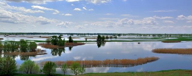 Волгоградцев приглашают на экскурсию в Волго-Ахтубинскую пойму