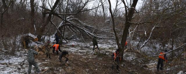 В Курской области прошла акция по заготовке дров для отправки в зону спецоперации