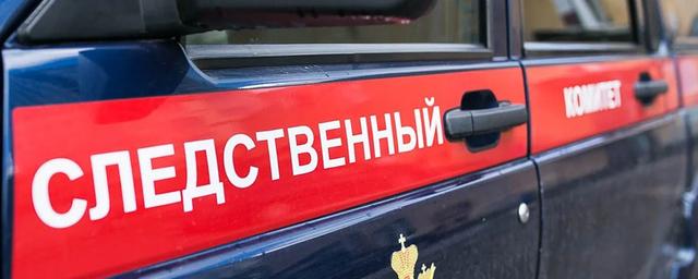 СКР возбудил уголовное дело по факту убийства женщины, гулявшей с собакой в Новой Москве