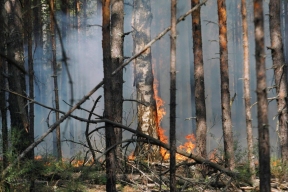 До конца сентября леса Саратовской области нельзя будет посещать посторонним