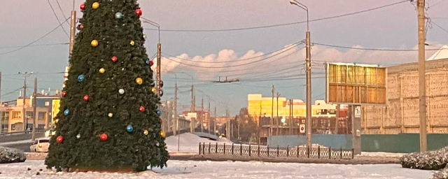 В Йошкар-Оле верхушкой прежней республиканской елки украсили кольцо на Ленинском проспекте