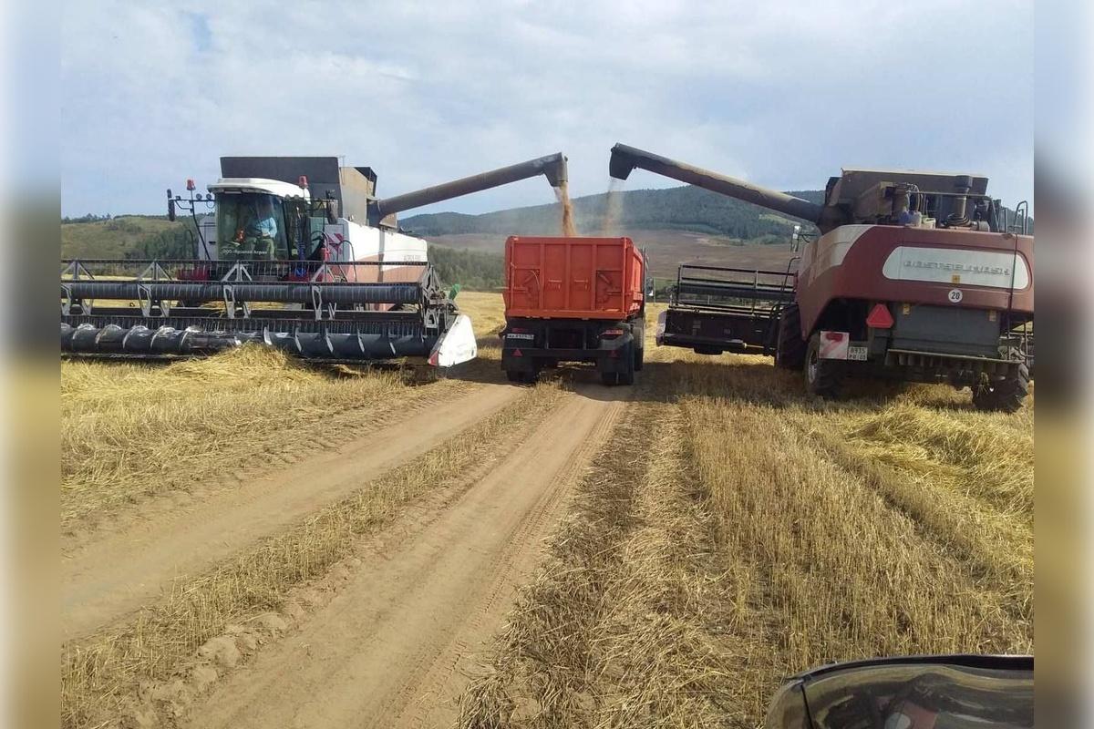 В Бурятии за последнюю неделю вдвое выросли темпы проведения посевных работ