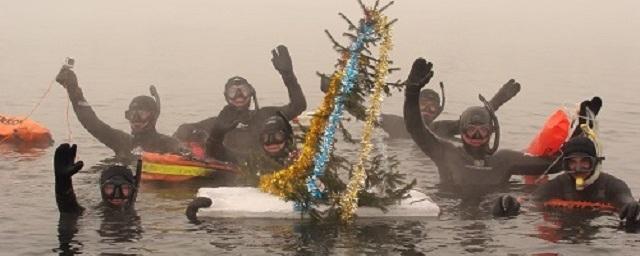 Иркутские дайверы установили на Ангаре подводную новогоднюю ель