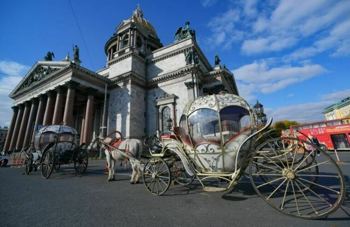 В Северной столице назревает лошадиный бунт