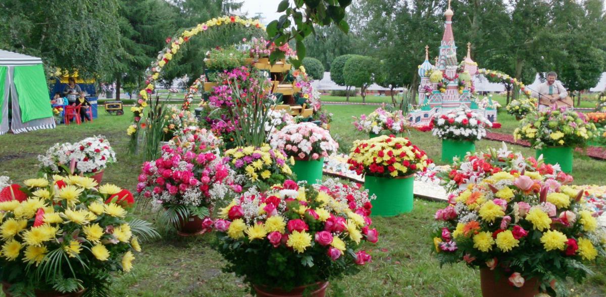 В Смоленске 1 сентября состоится городская выставка цветов