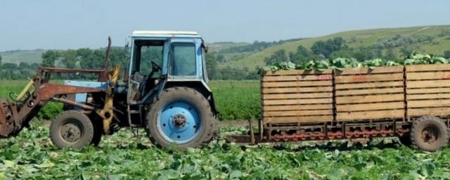 На Ставрополье аграриям компенсируют закупки топлива за полгода