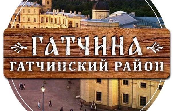 Совет депутатов Гатчинского района Ленобласти поддержал преобразование территории в муниципальный округ