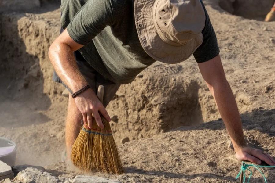 Древнейшая миграция: как гоминиды достигли Индии 3 миллиона лет назад