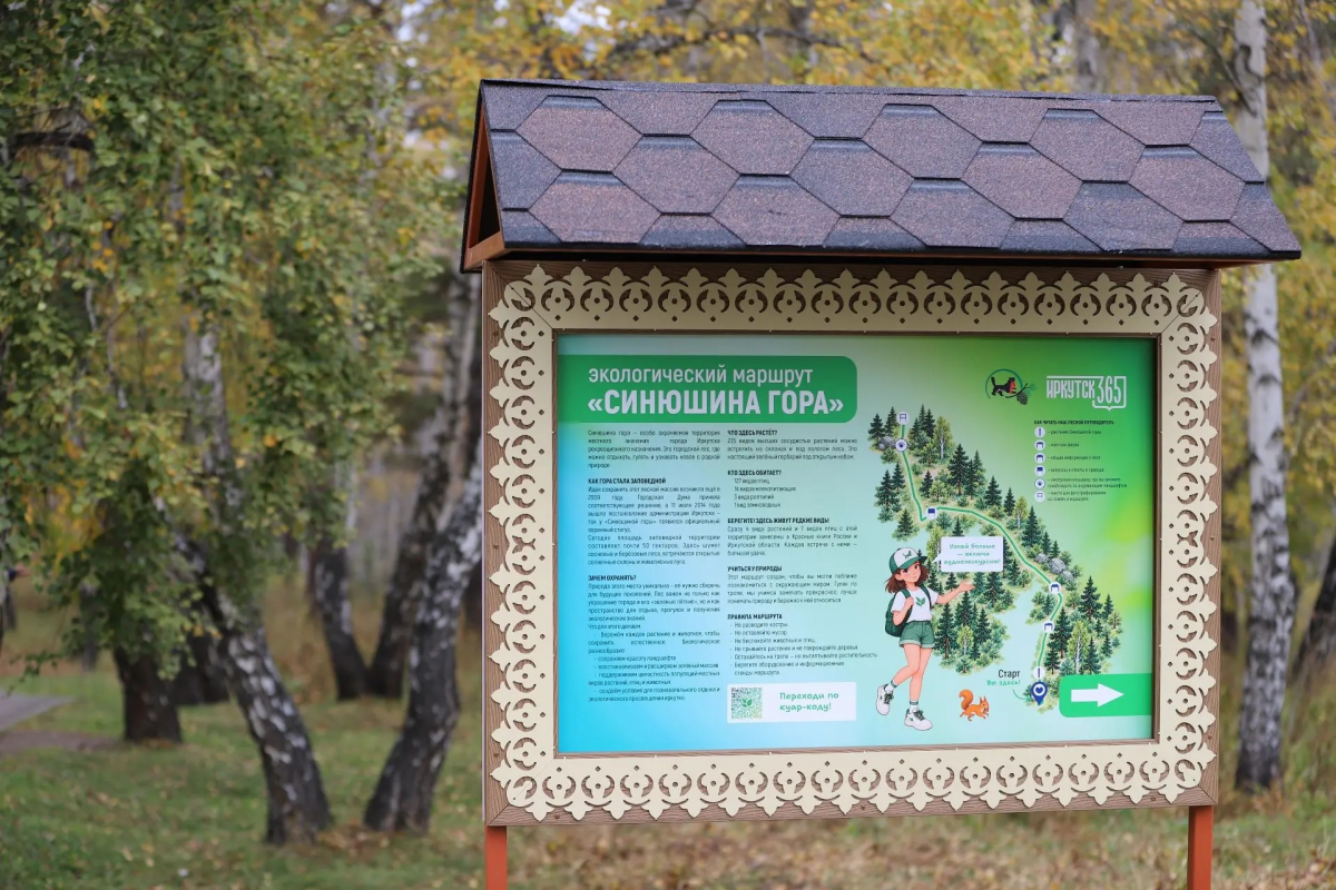 Мэр Иркутска Руслан Болотов: В роще «Синюшина гора» открыли экологический маршрут с интерактивными стендами и видом на Иркут