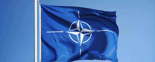 Офис Зеленского сообщил о прекращении шагов по вступлению в НАТО